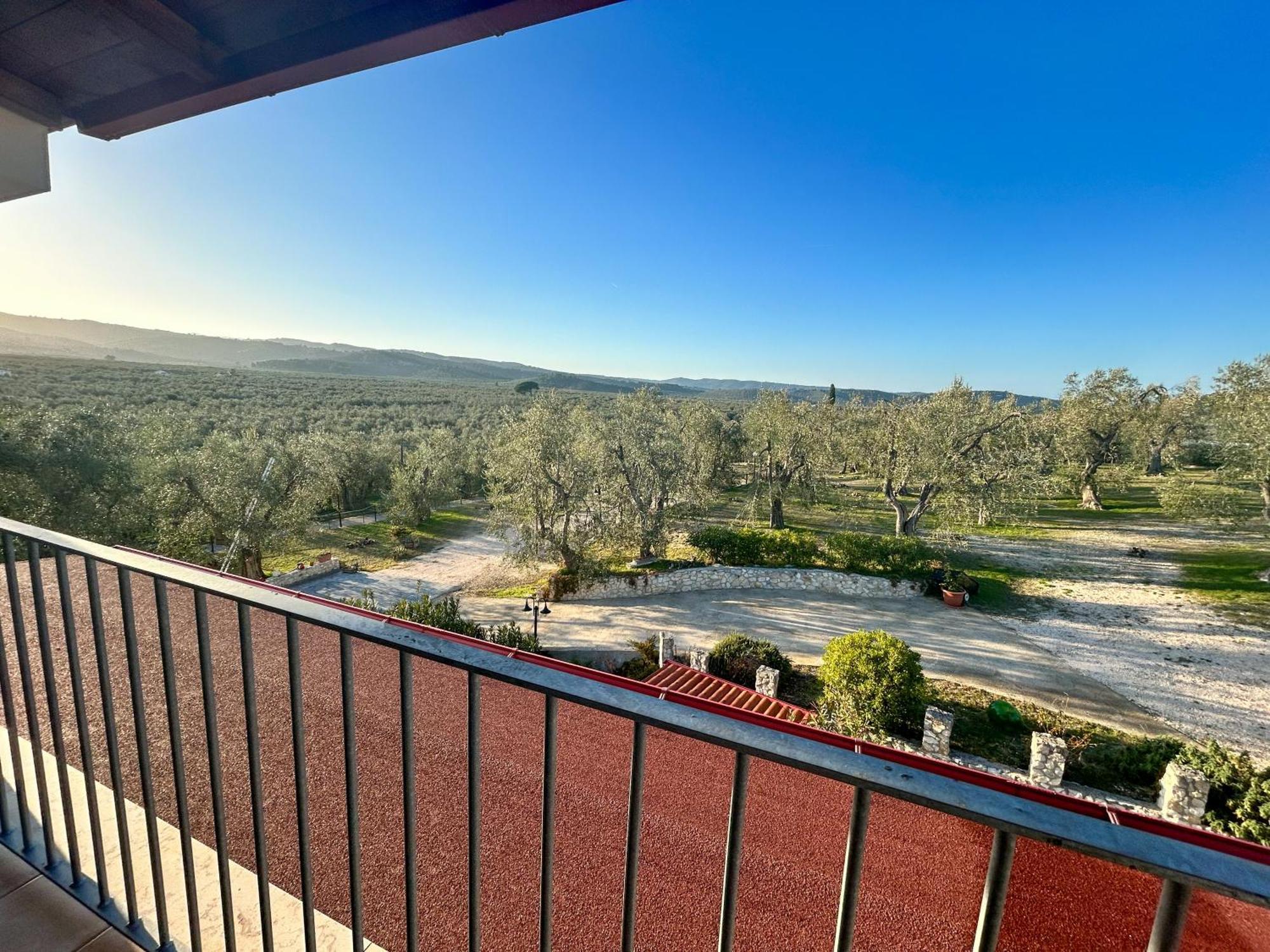 Valle Degli Ulivi B&B Весте Екстериор снимка